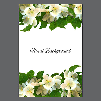 background texture made of apple brunch with white flowers and place for text