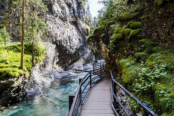 istock Johnston Canyon, Banff National Park, Alberta, Canada 618738954