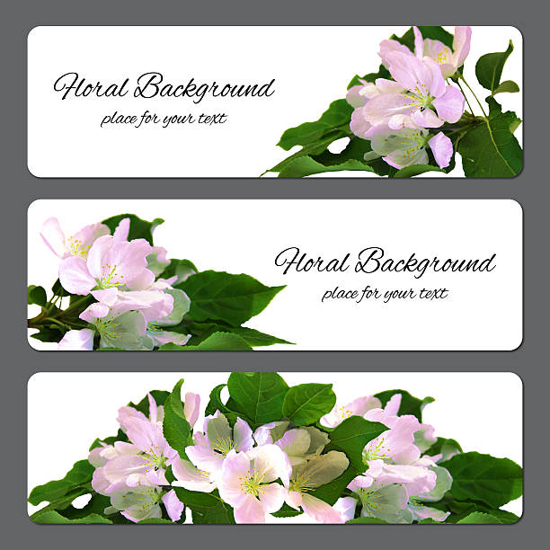 Background for templets and designs