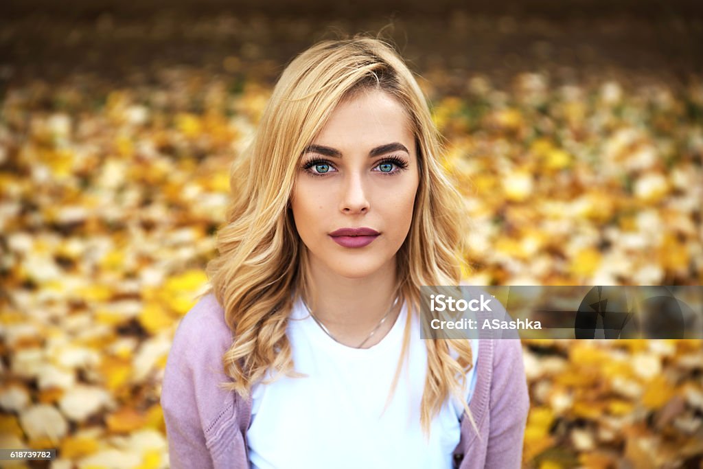 Otoño de belleza  - Foto de stock de Otoño libre de derechos