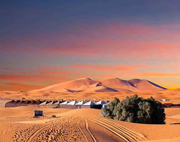 Sand dunes in Sahara desert in Africa Camp site over sand dunes in Merzouga, Sahara desert, Morocco, Africa oasis sand sand dune desert stock pictures, royalty-free photos & images