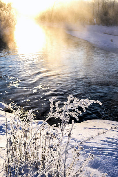 istock Winter sunny landscape with river and forest 618741960