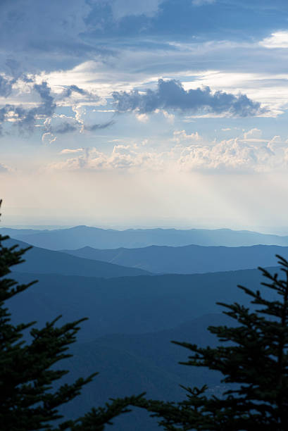 로안 마운틴에서 본 이스트 테네시 산맥 - roan mountain state park 뉴스 사진 이미지