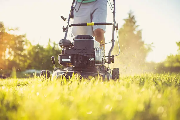 Photo of Young man mowing the grass