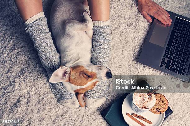 Mujer En Acogedor Hogar Use Relajante En Casa Foto de stock y más banco de imágenes de Perro - Perro, Invierno, Acogedor