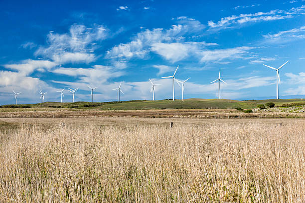 Wind Farm out in a paddock. stock photo