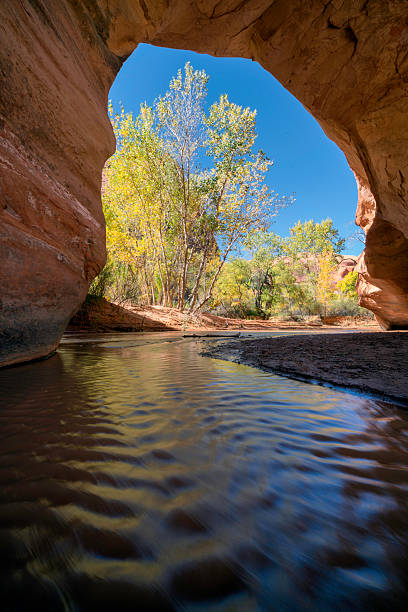 istock Coyote Bridge Grand Staircase Escalante National Monument 618752528