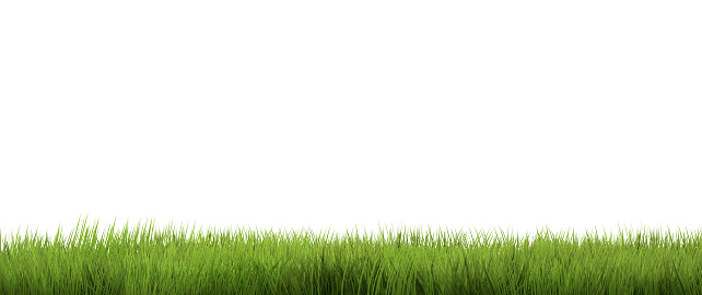 green grass. grass nature background. 3d render.