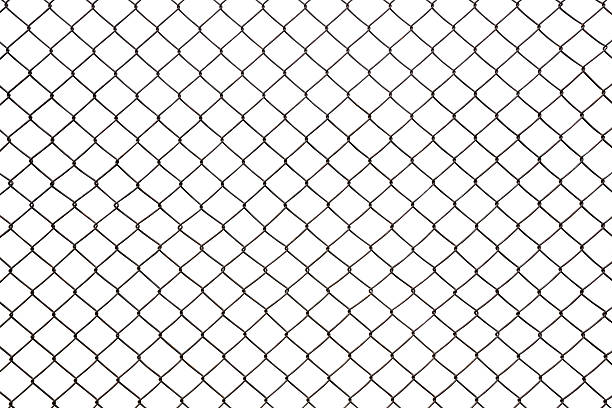 istock steel mesh wire fence isolated on white background 618756504