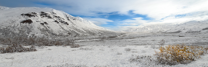 Alaska Snow Capped Mountain Range Panorama in Winter with Road