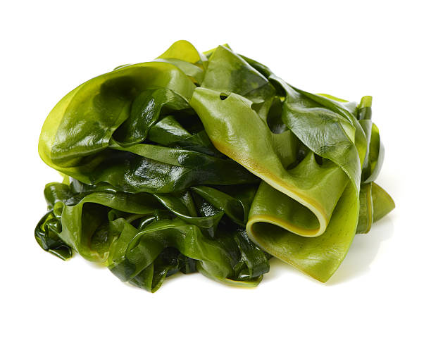 istock soaked wakame seaweed 618757740