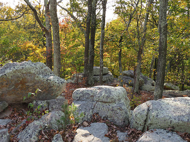 istock Maryland Autumn Landscape 618758580