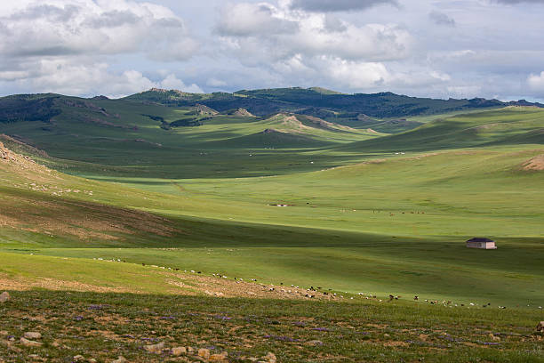 mongolia: paisaje de estepas - estepa fotografías e imágenes de stock