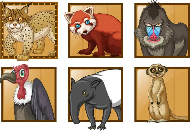 Vector illustration of Different types of wild animals