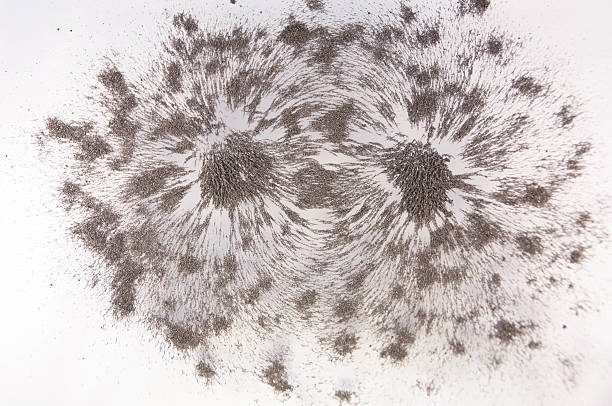 istock Magnetic Field. Science Magnetic Field. Physics magnetic field. 618763562