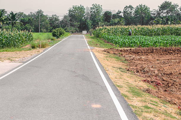 istock asphalt road through the Corn farm. 618764166