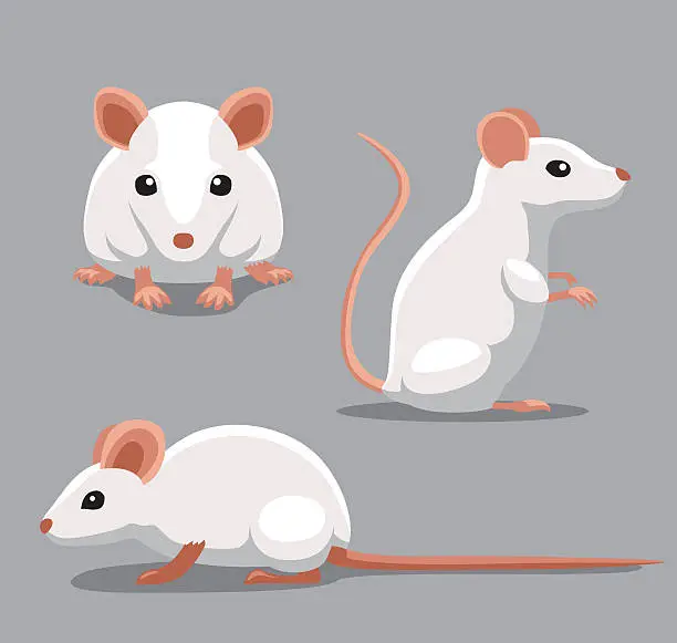 Vector illustration of Cute Fancy Mouse Poses Cartoon Vector Illustration