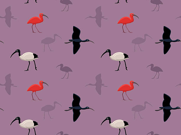 ilustrações, clipart, desenhos animados e ícones de papel de parede ibis bird - íbis escarlate