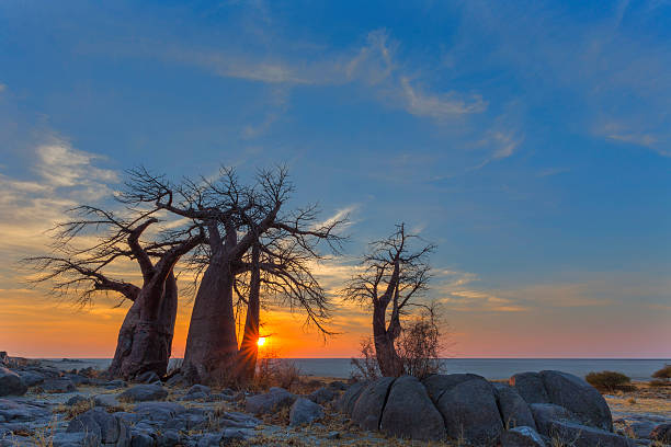 istock Sunrise at Kubu Island 618765820