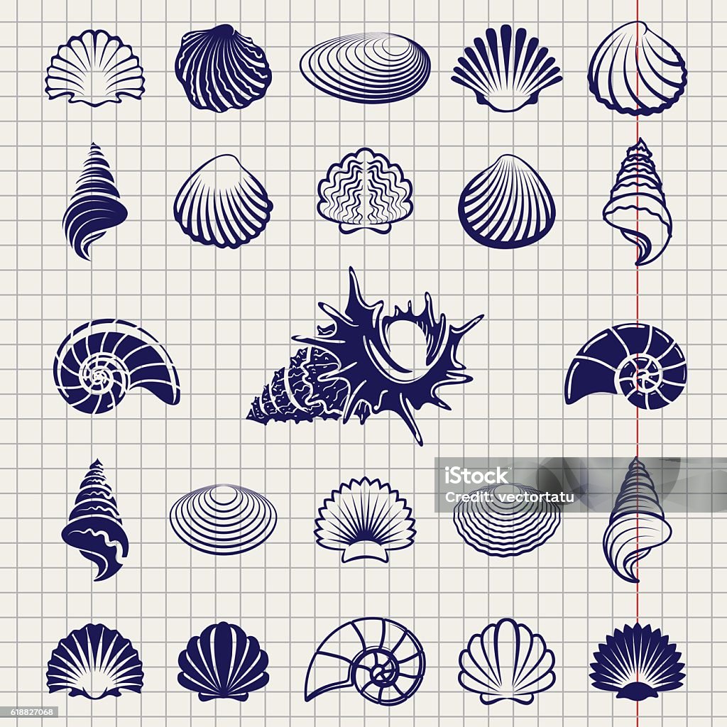 Sketch of sea shells Sketch of sea shells vector illustration. Sea shell silhouettes set on notebook page Animal Shell stock vector