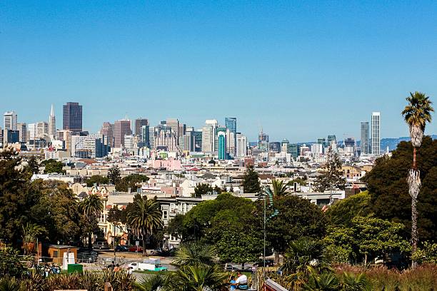 istock Beautiful/Sunny San Francisco (Dolores Park) Palm Trees 618835814
