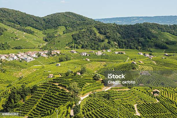 Prosecco Vineyards In Valdobbiadene Town Stock Photo - Download Image Now - Prosecco, Hill, Treviso - Italy