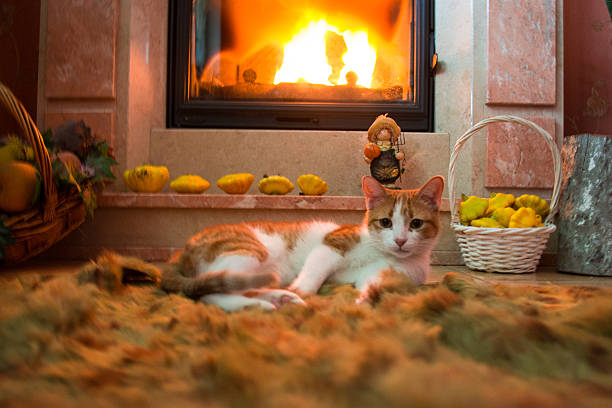 istock Red cat is basking by the fireplace in the cozy room. 618840888
