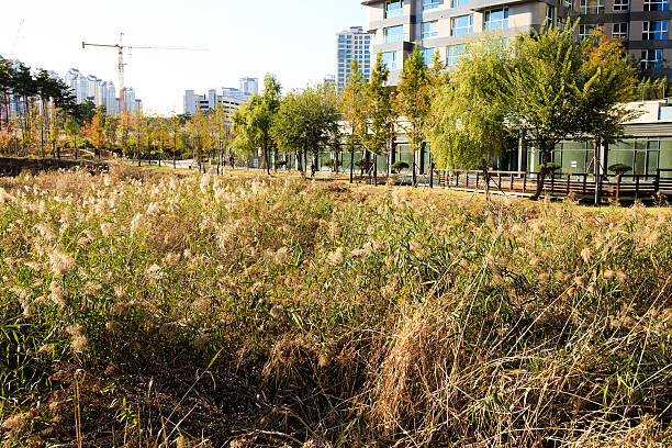 istock Gwanggyo new town 618842856