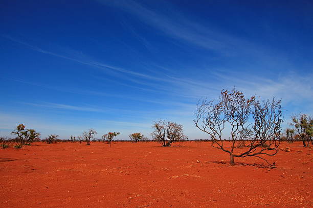 Burnt desert in Australia stock photo