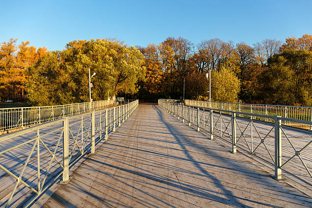 istock bridge in autumn park 618847244
