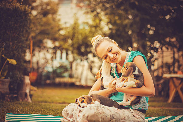 istock Girl with beagle puppies 618847856