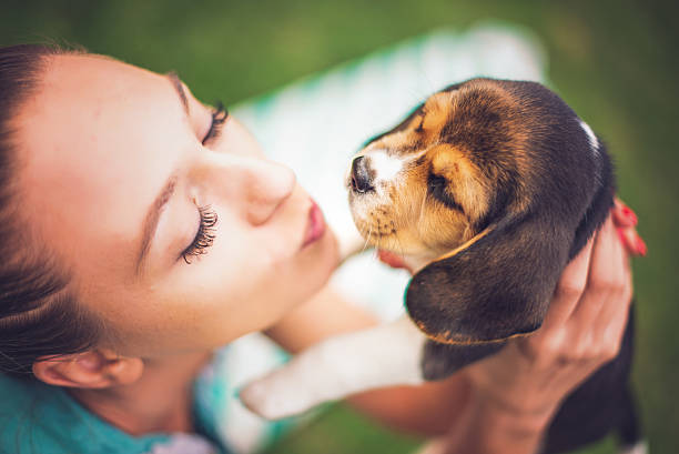 istock Girl with beagle puppies 618847922