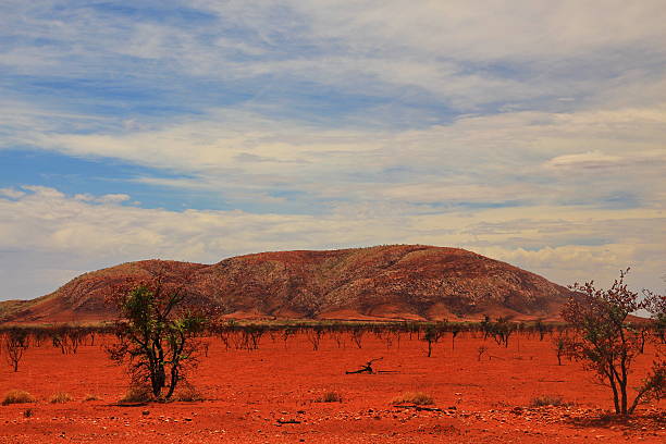 istock Lonely mountain after bushfire in central Australia 618848794