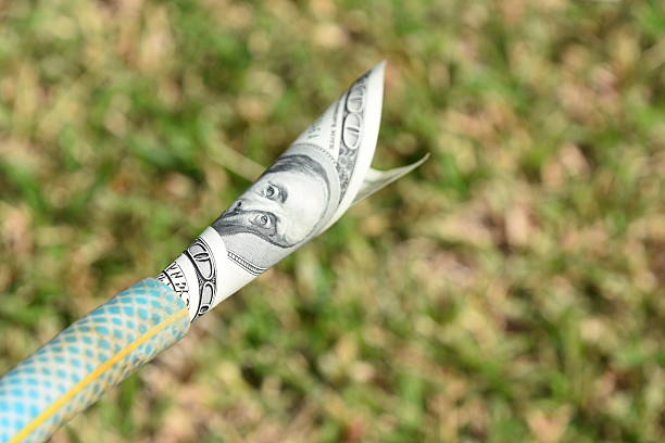 istock garden hose and money 618848926