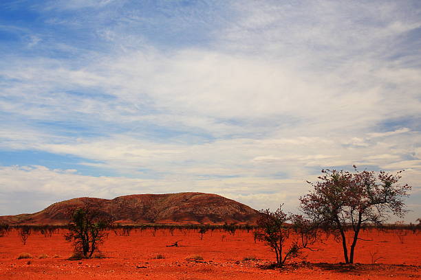 istock Lonely mountain after bushfire in central Australia 618849044