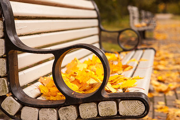 Bench with golden maple leaves stock photo