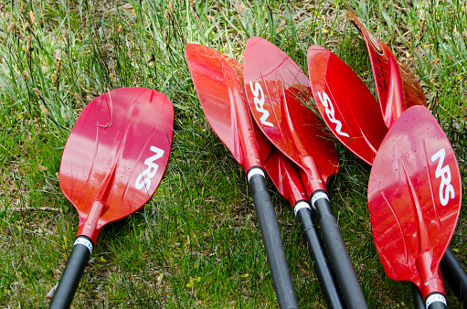 Buena Vista, United States - May 28, 2016: A stack of paddles for a kayaking class lay on the grass next to a lake, just waiting for their next students!