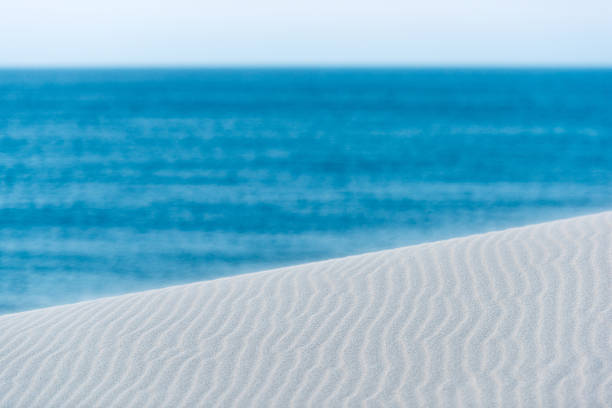 Artistic photo of a sand dune in front of the ocean and sky. Selective focus on the sand dune textures. Natural colors. Copy Space.
