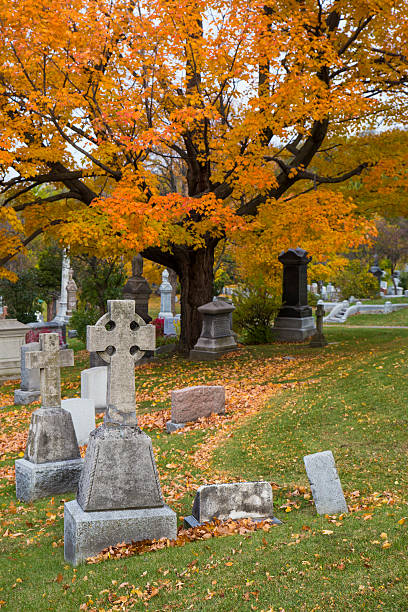istock Cemetery in autumn 618857804