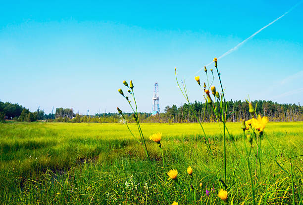 Drilling rig among the marsh grass and flowers . Siberia.