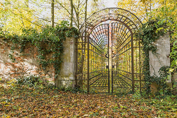 Locked iron gate in the autumn park. Horizontally.