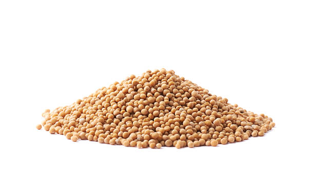 istock Pile of brown mustard seeds isolated 618865008