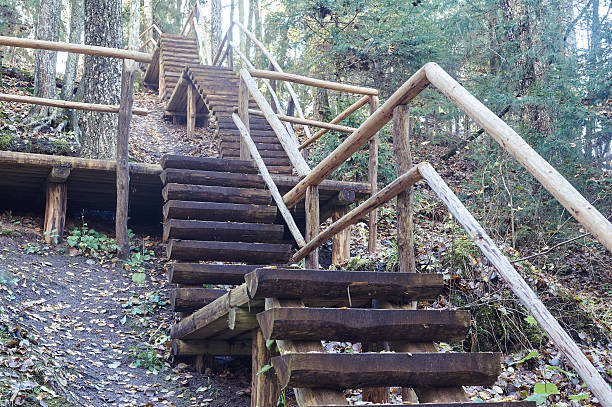 istock wooden bridge in the forest and park 618865876