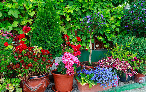 istock Flowerpots with colorful flowers. 618867538