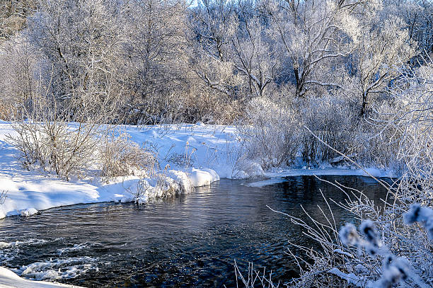 istock Winter sunny landscape with river and forest 618868824