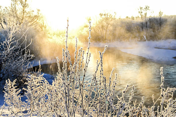 Winter sunny landscape with river and forest.Winter sunny landscape with river and forest.
