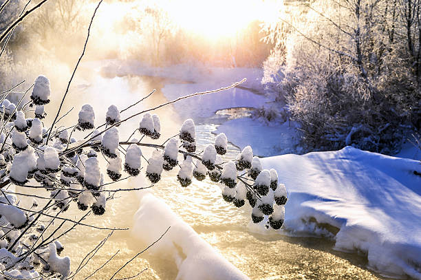 zimowy słoneczny krajobraz z rzeką i lasem - winter stream river snowing zdjęcia i obrazy z banku zdjęć