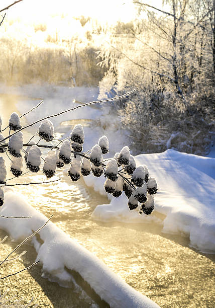 istock Winter sunny landscape with river and forest 618869602