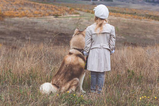istock Back view of girl with husky dog 618870148