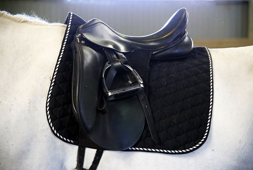 Sport saddle with stirrups on a back of a grey horse
